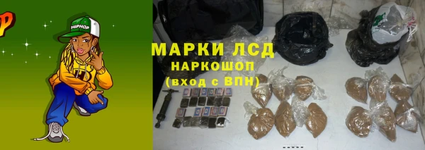 индика Белоозёрский