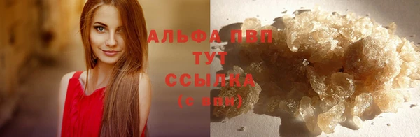 индика Белоозёрский