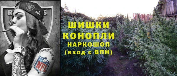 индика Белоозёрский