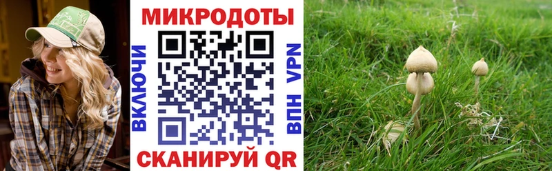 Псилоцибиновые грибы Psilocybe  darknet Telegram  Волчанск  закладки 