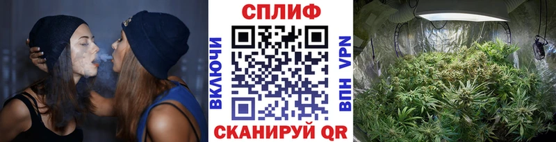 Канабис план дарнет шоп Волчанск